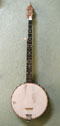 Banjo, five-string