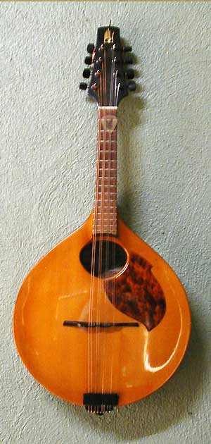 Mandolin