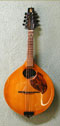 Mandolin